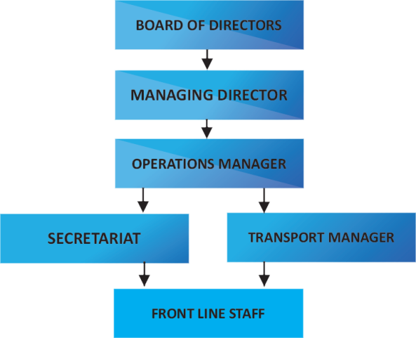 organizational structure dalsan